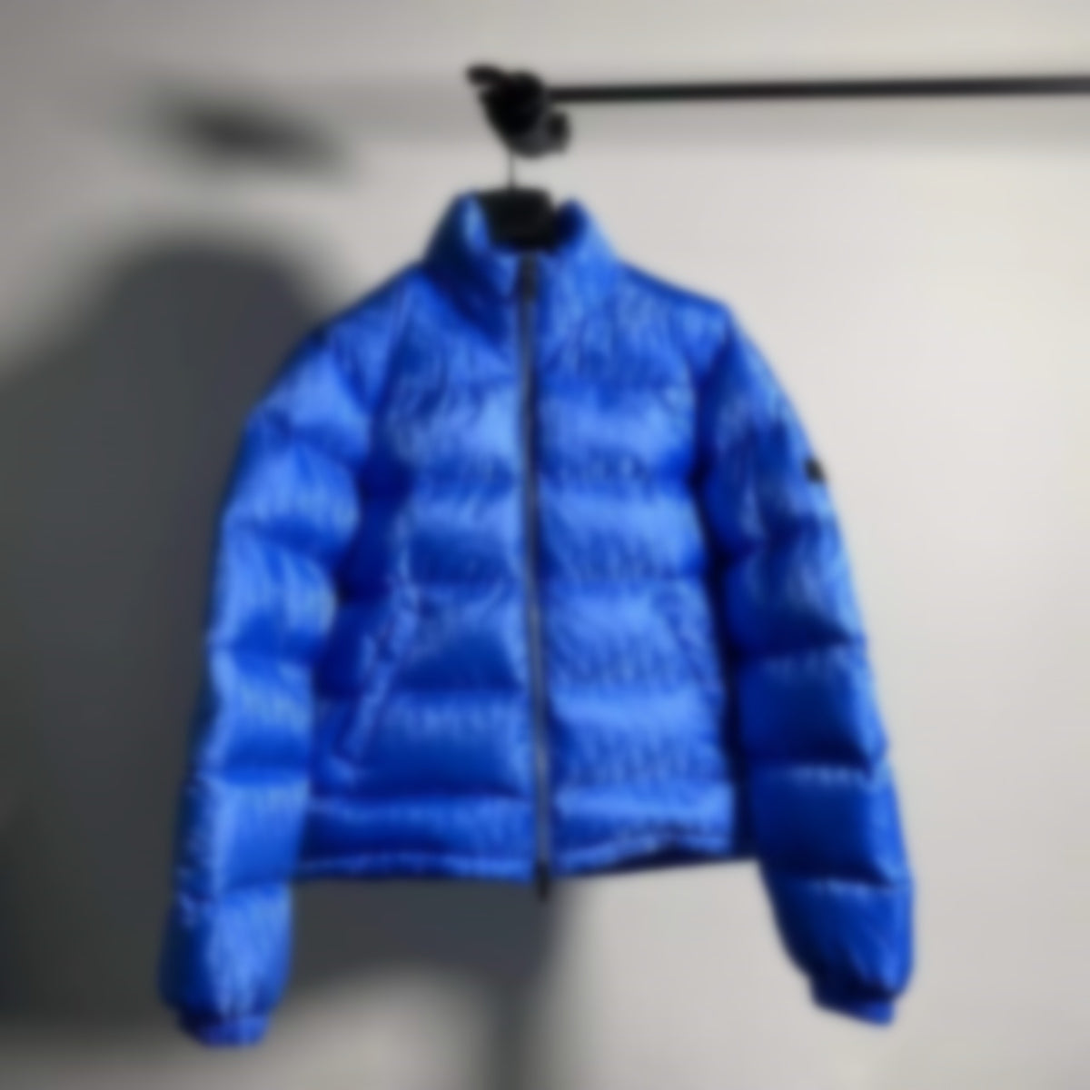 Falection CD Oblique Monogram Puffer Jacket