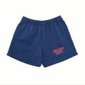 Falection Gallery Dept FW26 Zuma Shorts in Navy