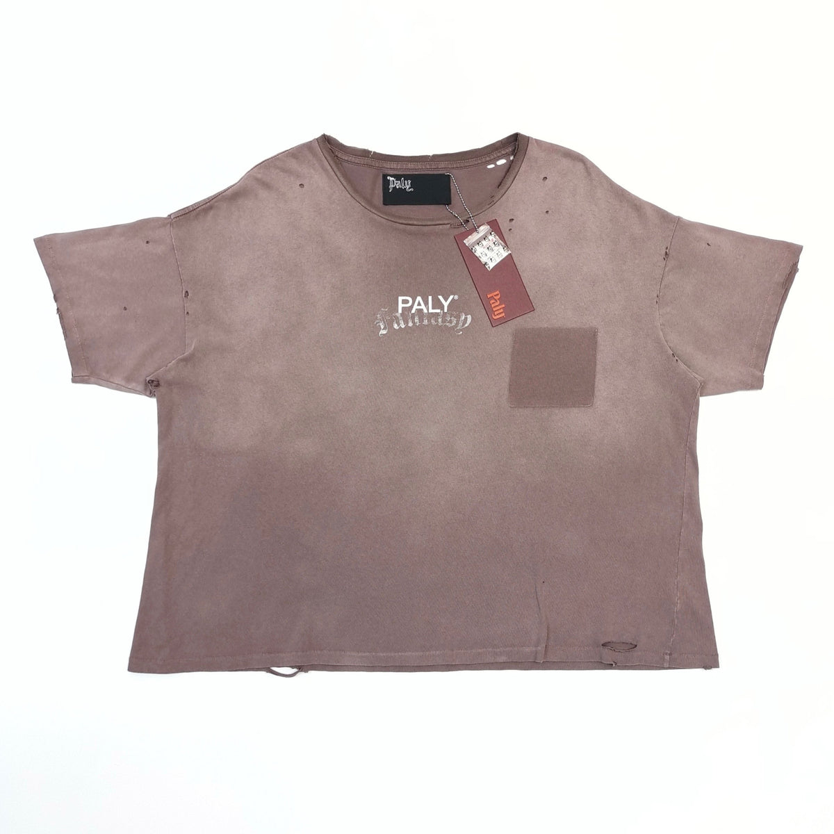 Falection Paly Hollywood SS26 Core Logo Tee in 2 Colors