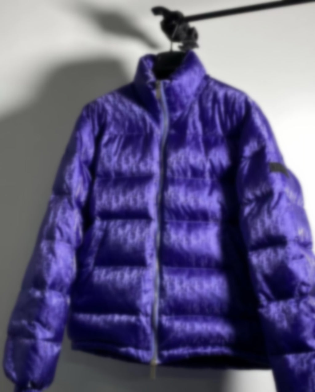 Falection CD Oblique Monogram Puffer Jacket