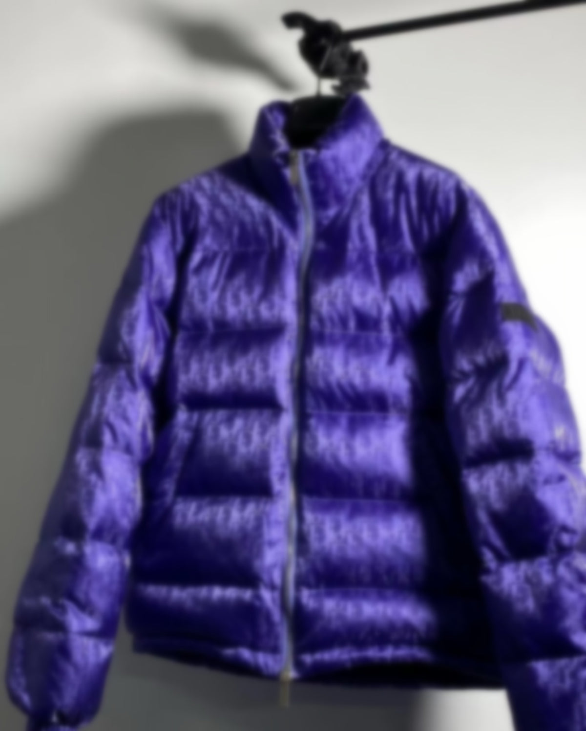 Falection CD Oblique Monogram Puffer Jacket